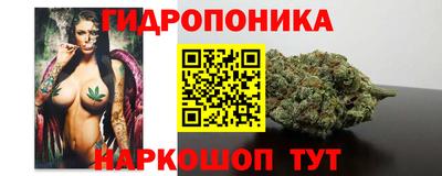 индика Жуковский