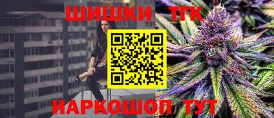 индика Жуковский