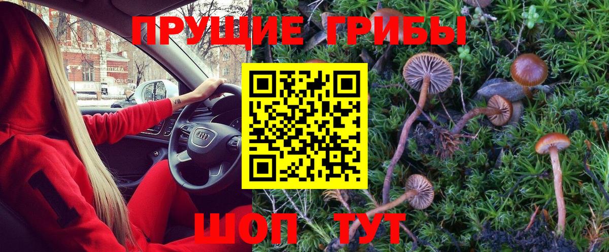 Псилоцибиновые грибы MAGIC MUSHROOMS Миасс