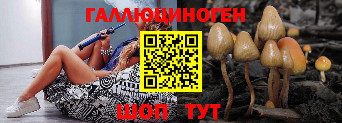 Псилоцибиновые грибы Magic Shrooms  Вход с VPN  Галлюциногенные грибы Cubensis  Миасс 